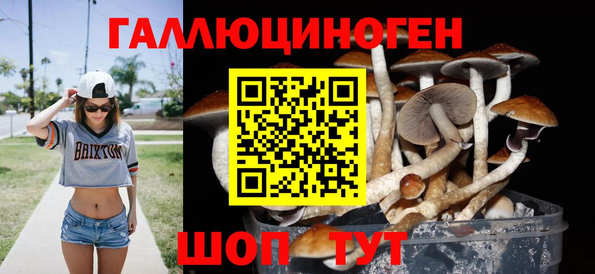 Кольчугино  Псилоцибиновые грибы Cubensis  Вход с VPN 