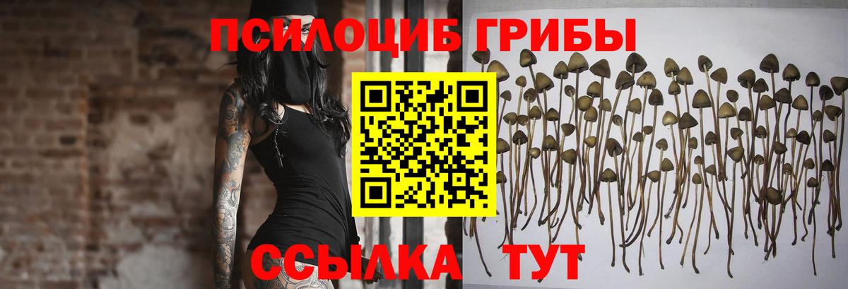 Галлюциногенные грибы GOLDEN TEACHER Кольчугино